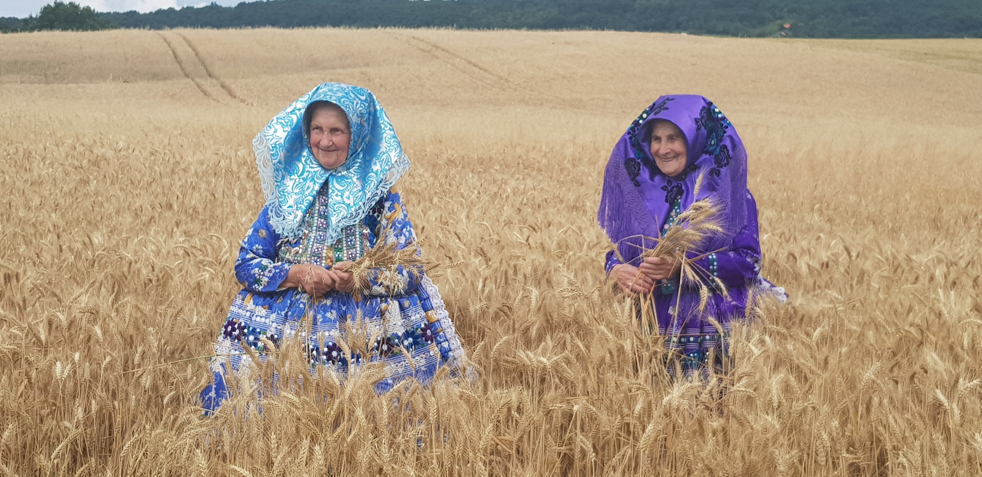 Two women in traditional Slovak dress standing in a golden grain field